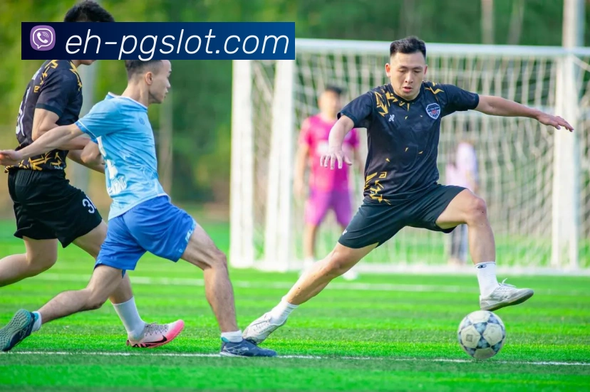 App Interface Preview